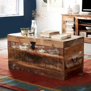 Coastal Trunk Box by Indian Hub